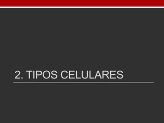 2. TIPOS CELULARES
 
