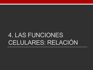 4. LAS FUNCIONES
CELULARES: RELACIÓN
 