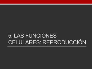 5. LAS FUNCIONES
CELULARES: REPRODUCCIÓN
 