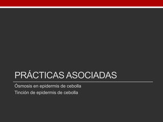 PRÁCTICAS ASOCIADAS
Ósmosis en epidermis de cebolla
Tinción de epidermis de cebolla
 