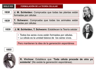 SIGLO XIX
J. M. Schleiden: Comprueba que todas las plantas están
formadas por células
1838
1839 J. M. Schleiden, T. Schwann: Establecen la Teoría celular
1839 T. Schwann: Comprueba que todas los animales están
formadas por células
FORMULACIÓN DE LA TEORÍA CELULAR
• Todos los seres vivos están formados por células.
• La célula es la unidad básica de los seres vivos.
Pero mantienen la idea de la generación espontánea
1855
R. Virchow: Establece que “Toda célula procede de otra ya
existente” (No existe la generación espontánea).
 