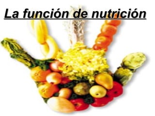 La función de nutrición

 
