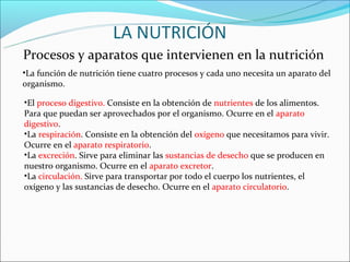 Procesos y aparatos que intervienen en la nutrición
•La función de nutrición tiene cuatro procesos y cada uno necesita un aparato del
organismo.

•El proceso digestivo. Consiste en la obtención de nutrientes de los alimentos.
Para que puedan ser aprovechados por el organismo. Ocurre en el aparato
digestivo.
•La respiración. Consiste en la obtención del oxígeno que necesitamos para vivir.
Ocurre en el aparato respiratorio.
•La excreción. Sirve para eliminar las sustancias de desecho que se producen en
nuestro organismo. Ocurre en el aparato excretor.
•La circulación. Sirve para transportar por todo el cuerpo los nutrientes, el
oxígeno y las sustancias de desecho. Ocurre en el aparato circulatorio.
 
