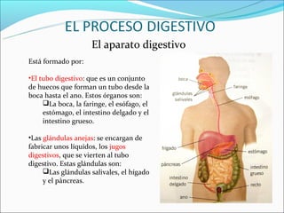 El aparato digestivo
Está formado por:

•El tubo digestivo: que es un conjunto
de huecos que forman un tubo desde la
boca hasta el ano. Estos órganos son:
     La boca, la faringe, el esófago, el
     estómago, el intestino delgado y el
     intestino grueso.

•Las glándulas anejas: se encargan de
fabricar unos líquidos, los jugos
digestivos, que se vierten al tubo
digestivo. Estas glándulas son:
     Las glándulas salivales, el hígado
     y el páncreas.
 