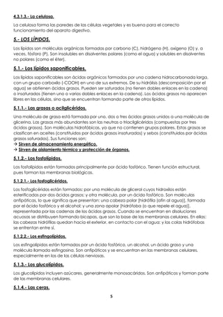 5
4.3.1.3.- La celulosa.
La celulosa forma las paredes de las células vegetales y es buena para el correcto
funcionamiento del aparato digestivo.
5.- LOS LÍPIDOS.
Los lípidos son moléculas orgánicas formadas por carbono (C), hidrógeno (H), oxígeno (O) y, a
veces, fósforo (P). Son insolubles en disolventes polares (como el agua) y solubles en disolventes
no polares (como el éter).
5.1.- Los lípidos saponificables.
Los lípidos saponificables son ácidos orgánicos formados por una cadena hidrocarbonada larga,
con un grupo carboxilo (-COOH) en uno de sus extremos. De su hidrólisis (descomposición por el
agua) se obtienen ácidos grasos. Pueden ser saturados (no tienen dobles enlaces en la cadena)
o insaturados (tienen uno o varios dobles enlaces en la cadena). Los ácidos grasos no aparecen
libres en las células, sino que se encuentran formando parte de otros lípidos.
5.1.1.- Las grasas o acilglicéridos.
Una molécula de grasa está formada por uno, dos o tres ácidos grasos unidos a una molécula de
glicerina. Las grasas más abundantes son las neutras o triacilglicéridos (compuestas por tres
ácidos grasos). Son moléculas hidrofóbicas, ya que no contienen grupos polares. Estas grasas se
clasifican en aceites (constituidos por ácidos grasos insaturados) y sebos (constituidos por ácidos
grasos saturados). Sus funciones son;
 Sirven de almacenamiento energético.
 Sirven de aislamiento térmico y protección de órganos.
5.1.2.- Los fosfolípidos.
Los fosfolípidos están formados principalmente por ácido fosfórico. Tienen función estructural,
pues forman las membranas biológicas.
5.1.2.1.- Los fosfoglicéridos.
Los fosfoglicéridos están formados: por una molécula de glicerol cuyos hidroxilos están
esterificados por dos ácidos grasos; y otra molécula, por un ácido fosfórico. Son moléculas
anfipáticas, lo que significa que presentan: una cabeza polar [hidrófila (afín al agua)], formada
por el ácido fosfórico y el alcohol; y una zona apolar [hidrófoba (o que repele el agua)],
representada por las cadenas de los ácidos grasos. Cuando se encuentran en disoluciones
acuosas se distribuyen formando bicapas, que son la base de las membranas celulares. En ellas:
las cabezas hidrófilas quedan hacia el exterior, en contacto con el agua; y las colas hidrófobas
se enfrentan entre sí.
5.1.2.2.- Los esfingolípidos.
Los esfingolípidos están formados por un ácido fosfórico, un alcohol, un ácido graso y una
molécula llamada esfingosina. Son anfipáticos y se encuentran en las membranas celulares,
especialmente en las de las células nerviosas.
5.1.3.- Los glucolípidos.
Los glucolípidos incluyen azúcares, generalmente monosacáridos. Son anfipáticos y forman parte
de las membranas celulares.
5.1.4.- Las ceras.
 