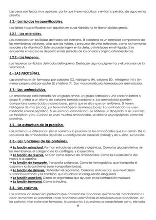 6
Las ceras son lípidos muy apolares, por lo que impermeabilizan y evitan la pérdida de agua en las
plantas.
5.2.- Los lípidos insaponificables.
Los lípidos insaponificables son aquellos en cuya hidrólisis no se liberan ácidos grasos.
5.2.1.- Los esteroides.
Los esteroides son los lípidos derivados del esterano. El colesterol es un esteroide componente de
las membranas celulares, a las que da rigidez, y precursor de otros esteroides, como las hormonas
sexuales y la vitamina D. Éste se puede ingerir en la dieta, o sintetizarse en el hígado. Si se
encuentra en exceso se deposita en las paredes de las arterias y origina arterioesclerosis.
5.2.2.- Los terpenos.
Los terpenos son lípidos derivados del isopreno. Destacan algunos pigmentos y el precursor de la
vitamina A.
6.- LAS PROTEÍNAS.
Las proteínas están formadas por carbono (C), hidrógeno (H), oxígeno (O), nitrógeno (N) y (en
menor proporción) por azufre (S) y fósforo (P). Son macromoléculas formadas por aminoácidos.
6.1.- Los aminoácidos.
Un aminoácido está formado por un grupo amino, un grupo carboxilo y una cadena lateral o
grupo R; unidos a un átomo de carbono llamado carbono-∝. Los aminoácidos pueden
comportarse como ácidos o como bases, por lo que se dice que son anfóteros. Si tienen
hidrógeno de más (ácido), y si tienen hidrógeno de menos (base). Los aminoácidos se unen
mediante enlace peptídico. Si se unen dos aminoácidos, se obtiene un dipéptido; si se unen tres,
un tripéptido; y así. Cuando se unen muchos aminoácidos, se obtiene un polipéptido, como las
proteínas.
6.2.- La estructura de la proteína.
Las proteínas se diferencian por el número y la posición de los aminoácidos que las forman. De la
secuencia de aminoácidos depende su configuración espacial (forma); y de su ésta, su función.
6.3.- Las funciones de las proteínas.
 La función estructural. Forman estructuras celulares y orgánicas. Como las glucoproteínas de
las membranas, el colágeno de los cartílagos, y la queratina.
 La función de reserva. Actúan como reserva de aminoácidos. Como la ovoalbúmina del
huevo o la caseína.
 La función de transporte. Transporta sustancias. Como la hemoglobina, que transporta el
oxígeno y las lipoproteínas (que transportan lípidos).
 La función de defensa. Defienden al organismo. Como los anticuerpos, que neutralizan
sustancias extrañas; y la trombina, que ayuda en la coagulación sanguínea.
 La función contráctil. Como los organismos que ayudan en la contracción muscular.
 La función hormonal. Como la insulina.
6.4.- Los enzimas.
Los enzimas son moléculas proteicas que catalizan las reacciones químicas del metabolismo; es
decir, aumentan su velocidad. En las reacciones enzimáticas las moléculas que reaccionan, son
los sustratos; y las sustancias formadas, los productos. Los enzimas se caracterizan por su elevada
 