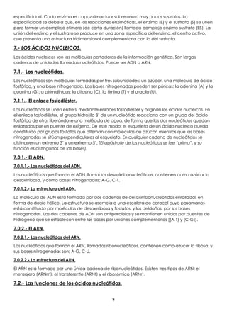 7
especificidad. Cada enzima es capaz de actuar sobre uno o muy pocos sustratos. La
especificidad se debe a que, en las reacciones enzimáticas, el enzima (E) y el sustrato (S) se unen
para formar un complejo efímero (de corta duración) llamado complejo enzima-sustrato (ES). La
unión del enzima y el sustrato se produce en una zona específica del enzima, el centro activo,
que presenta una estructura tridimensional complementaria con la del sustrato.
7.- LOS ÁCIDOS NUCLEICOS.
Los ácidos nucleicos son las moléculas portadoras de la información genética. Son largas
cadenas de unidades llamadas nucleótidos. Puede ser ADN o ARN.
7.1.- Los nucleótidos.
Los nucleótidos son moléculas formadas por tres subunidades: un azúcar, una molécula de ácido
fosfórico, y una base nitrogenada. Las bases nitrogenadas pueden ser púricas: la adenina (A) y la
guanina (G); o pirimidínicas: la citosina (C), la timina (T) y el uracilo (U).
7.1.1.- El enlace fosfodiéster.
Los nucleótidos se unen entre sí mediante enlaces fosfodiéster y originan los ácidos nucleicos. En
el enlace fosfodiéster, el grupo hidroxilo 3’ de un nucleótido reacciona con un grupo del ácido
fosfórico de otro, liberándose una molécula de agua, de forma que los dos nucleótidos quedan
enlazados por un puente de oxígeno. De este modo, el esqueleto de un ácido nucleico queda
constituido por grupos fosfatos que alternan con moléculas de azúcar, mientras que las bases
nitrogenadas se sitúan perpendiculares al esqueleto. En cualquier cadena de nucleótidos se
distinguen un extremo 3’ y un extremo 5’. [El apóstrofe de los nucleótidos se lee “prima”, y su
función es distinguirlos de las bases].
7.0.1.- El ADN.
7.0.1.1.- Los nucleótidos del ADN.
Los nucleótidos que forman el ADN, llamados desoxirribonucleótidos, contienen como azúcar la
desoxirribosa, y como bases nitrogenadas; A-G, C-T.
7.0.1.2.- La estructura del ADN.
La molécula de ADN está formada por dos cadenas de desoxirribonucleótidos enrolladas en
forma de doble hélice. La estructura se asemeja a una escalera de caracol cuyo pasamanos
está constituido por moléculas de desoxirribosa y fosfatos, y los peldaños, por las bases
nitrogenadas. Las dos cadenas de ADN son antiparalelas y se mantienen unidas por puentes de
hidrógeno que se establecen entre las bases por uniones complementarias [(A-T) y (C-G)].
7.0.2.- El ARN.
7.0.2.1.- Los nucleótidos del ARN.
Los nucleótidos que forman el ARN, llamados ribonucleótidos, contienen como azúcar la ribosa, y
sus bases nitrogenadas son; A-G, C-U.
7.0.2.2.- La estructura del ARN.
El ARN está formado por una única cadena de ribonucleótidos. Existen tres tipos de ARN: el
mensajero (ARNm), el transferente (ARNt) y el ribosómico (ARNr).
7.2.- Las funciones de los ácidos nucleótidos.
 