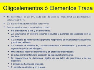 Oligoelementos ó Elementos Traza
 Su porcentajes es de 1%, cada uno de ellos se encuentran en proporciones
inferiores al 0,1%.
 No todos forman parte de los seres vivos.
 Son necesarios para el metabolismo celular.
 Fe: sintetizar Hb e Mb, y los citocromos.
 Zn: abundante en cerebro, órganos sexuales y páncreas (se asociada con la
insulina)
 Cu: síntesis de hemocianina (pigmento respiratorio de invertebrados acuáticos)
y enzimas oxidasas
 Co: síntesis de vitamina B12 (=cianocobalamina o cobalamina), y enzimas que
regulan la fijación del Nitrógeno.
 Mn: enzimas, factor de crecimiento y en procesos fotosintéticos.
 Li: actúa incrementando la secreción de los neurotransmisores.
 Si: caparazones de diatomeas, rigidez de los tallos de gramíneas y de los
equisetos.
 I: síntesis de hormonas tiroideas.
 F: esmalte de dientes y en huesos.
 