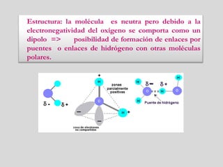 Estructura: la molécula es neutra pero debido a la
electronegatividad del oxígeno se comporta como un
dipolo => posibilidad de formación de enlaces por
puentes o enlaces de hidrógeno con otras moléculas
polares.
 