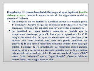 Congelación => menor densidad del hielo que el agua líquida⇒ función
aislante térmico, permite la supervivencia de los organismos acuáticos
durante el invierno.
 En la mayoría de los líquidos la densidad aumenta a medida que la
Tª disminuye. Ocurre porque las moléculas individuales se mueven
con mayor lentitud y los espacios que hay entre ellas disminuyen.
 La densidad del agua también aumenta a medida que la
temperatura disminuye, pero sólo hasta que se aproxima a los 4º C,
porque las moléculas de agua se encuentran tan próximas y se
mueven con tanta lentitud que cada una puede mantener sus
enlaces de H con otras 4 moléculas al mismo tiempo. Pero para que
existan 4 enlaces de H simultáneos las moléculas deben alejarse
unas de otras y se forma un enrejado abierto, que es la estructura
más estable del cristal de hielo. En consecuencia el “agua sólida”
ocupa “más volumen” que el “agua líquida”. Como el hielo es
menos denso que el agua flota en ella.
 