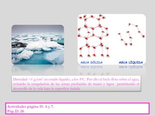Densidad =1 g/cm3
en estado líquido, a los 4ºC. Por ello el hielo flota sobre el agua,
evitando la congelación de las zonas profundas de mares y lagos permitiendo el
desarrollo de la vida bajo la superficie helada.
Actividades página 11: 6 y 7.
Pág 22: 28.
 
