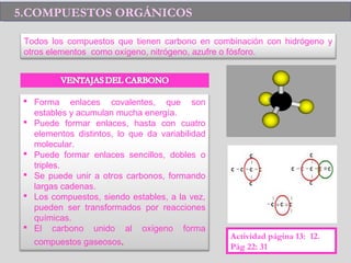5.COMPUESTOS ORGÁNICOS5.COMPUESTOS ORGÁNICOS
Todos los compuestos que tienen carbono en combinación con hidrógeno y
otros elementos como oxígeno, nitrógeno, azufre o fósforo.
 Forma enlaces covalentes, que son
estables y acumulan mucha energía.
 Puede formar enlaces, hasta con cuatro
elementos distintos, lo que da variabilidad
molecular.
 Puede formar enlaces sencillos, dobles o
triples.
 Se puede unir a otros carbonos, formando
largas cadenas.
 Los compuestos, siendo estables, a la vez,
pueden ser transformados por reacciones
químicas.
 El carbono unido al oxígeno forma
compuestos gaseosos.
Actividad página 13: 12.
Pág 22: 31
 