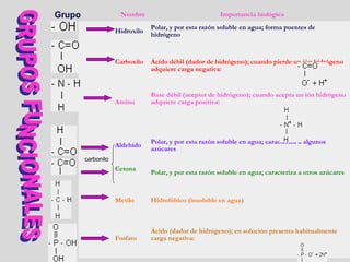 Nombre Importancia biológica
          Hidroxilo
Polar, y por esta razón soluble en agua; forma puentes de
hidrógeno
             Carboxilo Ácido débil (dador de hidrógeno); cuando pierde un ión hidrógeno
adquiere carga negativa:
                 
              Amino
Base débil (aceptor de hidrógeno); cuando acepta un ión hidrógeno
adquiere carga positiva:
               
            
Aldehído
Polar, y por esta razón soluble en agua; caracteriza a algunos
azúcares
             Cetona
Polar, y por esta razón soluble en agua; caracteriza a otros azúcares
              Metilo Hidrofóbico (insoluble en agua)
                
Fosfato
Ácido (dador de hidrógeno); en solución presenta habitualmente
carga negativa:
                           
carbonilo
Grupo
 