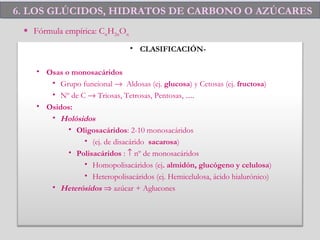 6. LOS GLÚCIDOS, HIDRATOS DE CARBONO O AZÚCARES6. LOS GLÚCIDOS, HIDRATOS DE CARBONO O AZÚCARES
 Fórmula empírica: CnH2nOn
• CLASIFICACIÓN-
• Osas o monosacáridos
• Grupo funcional → Aldosas (ej. glucosa) y Cetosas (ej. fructosa)
• Nº de C → Triosas, Tetrosas, Pentosas, .....
• Osidos:
• Holósidos
• Oligosacáridos: 2-10 monosacáridos
• (ej. de disacárido sacarosa)
• Polisacáridos : ↑ nº de monosacáridos
• Homopolisacáridos (ej. almidón, glucógeno y celulosa)
• Heteropolisacáridos (ej. Hemicelulosa, ácido hialurónico)
• Heterósidos ⇒ azúcar + Aglucones
 
