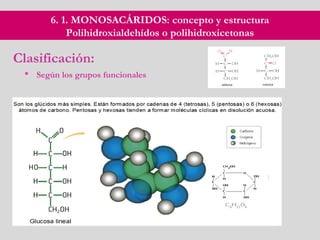 6. 1. MONOSACÁRIDOS: concepto y estructura
Polihidroxialdehídos o polihidroxicetonas
Clasificación:
 Según los grupos funcionales
 