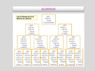 ALDOSAS
 