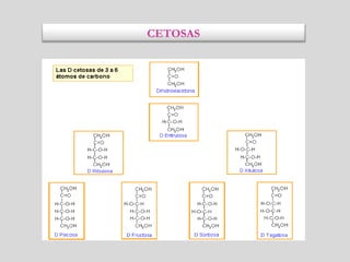 CETOSAS
 