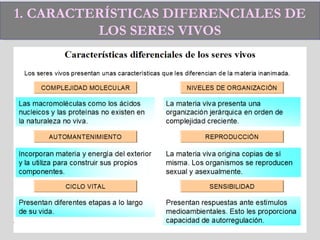1. CARACTERÍSTICAS DIFERENCIALES DE
LOS SERES VIVOS
1. CARACTERÍSTICAS DIFERENCIALES DE
LOS SERES VIVOS
 