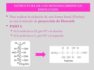 ESTRUCTURA DE LOS MONOSACÁRIDOS EN
DISOLUCIÓN
 Para realizar la ciclación de una forma lineal (Fischer)
se usa el método de proyección de Haworth
 PASO 1:
 Si la molécula es D, gira 90º a la derecha
 Si la molécula es L, gira 90º a la izquierda
 