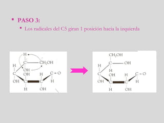  PASO 3:
 Los radicales del C5 giran 1 posición hacia la izquierda
 