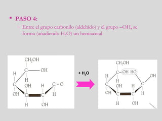 PASO 4:
– Entre el grupo carbonilo (aldehído) y el grupo –OH, se
forma (añadiendo H2O) un hemiacetal
+ H2O
 
