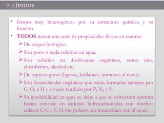 7. LÍPIDOS7. LÍPIDOS
• Grupo muy heterogéneo, por su estructura química y su
función.
• TODOS tienen una serie de propiedades físicas en común:
De origen biológico
Son poco o nada solubles en agua.
Son solubles en disolventes orgánicos, como éter,
cloroformo, alcohol etc.
De aspecto graso (ligeros, brillantes, untuosos al tacto).
Son biomoléculas orgánicas que están formadas siempre por
C, O, e H y a veces también por P, N, y S.
Su insolubilidad en agua se debe a que su estructura química
básica consiste en cadenas hidrocarbonadas con muchos
enlaces C-C y C-H (no polares, no interactúan con el agua)
 