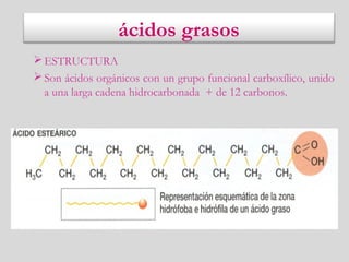 ácidos grasos
ESTRUCTURA
Son ácidos orgánicos con un grupo funcional carboxílico, unido
a una larga cadena hidrocarbonada + de 12 carbonos.
 