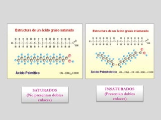 SATURADOS
(No presentan dobles
enlaces)
INSATURADOS
(Presentan dobles
enlaces)
 