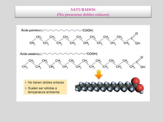 SATURADOS
(No presentan dobles enlaces)
 