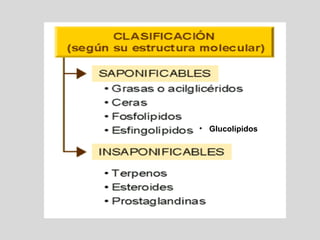 • Glucolípidos
 