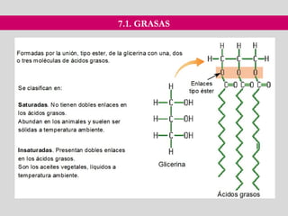 7.1. GRASAS
 