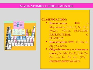 NIVEL ATÓMICO: BIOELEMENTOS
CLASIFICACIÓN:
 Bioelementos 1arios
o
Mayoritarios: C H, O, N, P, S
(96,2% =97%). FUNCIÓN
ESTRUCTURAL O
PLÁSTICA
 Bioelementos 2arios
: Cl, Na, K,
Mg y Ca (2%).
 Oligoelementos: o elementos
traza ; Fe, Mn, Cu, F, I, Si, Zn,
Ni, Co, Li, Al, etc. (1%),
Porcentajes menores del 0,1% 
 