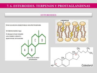 7. 6. ESTEROIDES. TERPENOS Y PROSTAGLANDINAS
ESTEROIDES
 