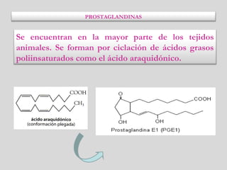 Se encuentran en la mayor parte de los tejidos
animales. Se forman por ciclación de ácidos grasos
poliinsaturados como el ácido araquidónico.
PROSTAGLANDINAS
 