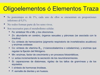 Oligoelementos ó Elementos Traza
 Su porcentajes es de 1%, cada uno de ellos se encuentran en proporciones
inferiores al 0,1%.
 No todos forman parte de los seres vivos.
 Son necesarios para el metabolismo celular.
 Fe: sintetizar Hb e Mb, y los citocromos.
 Zn: abundante en cerebro, órganos sexuales y páncreas (se asociada con la
insulina)
 Cu: síntesis de hemocianina (pigmento respiratorio de invertebrados acuáticos)
y enzimas oxidasas
 Co: síntesis de vitamina B12 (=cianocobalamina o cobalamina), y enzimas que
regulan la fijación del Nitrógeno.
 Mn: enzimas, factor de crecimiento y en procesos fotosintéticos.
 Li: actúa incrementando la secreción de los neurotransmisores.
 Si: caparazones de diatomeas, rigidez de los tallos de gramíneas y de los
equisetos.
 I: síntesis de hormonas tiroideas.
 F: esmalte de dientes y en huesos.
 