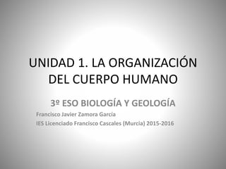 UNIDAD 1. LA ORGANIZACIÓN
DEL CUERPO HUMANO
3º ESO BIOLOGÍA Y GEOLOGÍA
Francisco Javier Zamora García
IES Licenciado Francisco Cascales (Murcia) 2015-2016
 