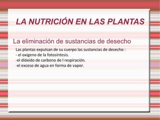 LA NUTRICIÓN EN LAS PLANTAS La eliminación de sustancias de desecho Las plantas expulsan de su cuerpo las sustancias de desecho : - el oxigeno de la fotosíntesis. -el dióxido de carbono de l respiración. -el exceso de agua en forma de vapor. 