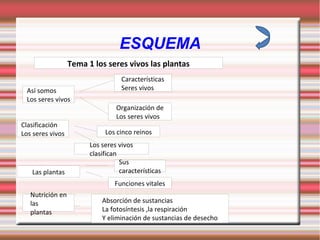ESQUEMA Tema 1 los seres vivos las plantas Así somos Los seres vivos Características Seres vivos Organización de Los seres vivos Clasificación Los seres vivos Los seres vivos clasifican Los cinco reinos Las plantas Sus características Funciones vitales Nutrición en las plantas Absorción de sustancias La fotosíntesis ,la respiración Y eliminación de sustancias de desecho 
