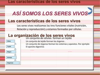 ASÍ SOMOS LOS SERES VIVOS Las características de los seres vivos Las características de los seres vivos La organización de los seres vivos Los seres vivos realizamos las tres funciones vitales (nutrición, Relación y reproducción) y estamos formados por células. Un conjunto de tejido forman los órganos . Un conjunto de órganos forman los sistemas y aparatos. Por ejemplo El aparato digestivo . Un conjunto de células  forman un tejido 