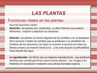 LAS PLANTAS Funciones vitales en las plantas Son tres funciones vitales Nutrición :  las plantas son  autotrofas , es decir fabrican sus propios Alimentos . respiran y expulsan sus desechos. Relacion :  las plantas no tienen órganos de los sentidos y no se desplazan Pero reaccion a todos los cambios que se producen a su alrededor los Cambios de las estaciones, las hojas se mueven al tocarlas los tallos las Ramas crecen y se mueven hacia la luz y las rices buscan la profundidad Hacia donde hay agua La reproducción :  las flores son sus órganos reproductores , que producen Semillas que cuando germinan nacen nuevas plantas . Los musgos y los Helechos se reproducen mediante unas células llamadas esporas. 