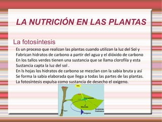 LA NUTRICIÓN EN LAS PLANTAS La fotosíntesis Es un proceso que realizan las plantas cuando utilizan la luz del Sol y Fabrican hidratos de carbono a partir del agua y el dióxido de carbono En los tallos verdes tienen una sustancia que se llama clorofila y esta Sustancia capta la luz del sol . En ls hojas los hidratos de carbono se mezclan con la sabia bruta y así Se forma la sabia elaborada que llega a todas las partes de las plantas. La fotosíntesis expulsa como sustancia de desecho el oxigeno. 