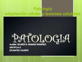 Patología
adaptación celular y lesiones celulares
 