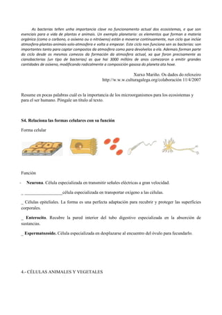 As bacterias teñen unha importancia clave no funcionamento actual dos ecosistemas, e que son
esenciais para a vida de plantas e animais. Un exemplo planetario: os elementos que forman a materia
orgánica (como o carbono, o osíxeno ou o nitróxeno) están a moverse continuamente, nun ciclo que inclúe
atmosfera-plantas-animais-solo-atmosfera e volta a empezar. Este ciclo non funciona sen as bacterias: son
importantes tanto para captar compostos da atmosfera como para devolvelos a ela. Ademais forman parte
do ciclo desde os mesmos comezos da formación da atmosfera actual, xa que foron precisamente as
cianobacterias (un tipo de bacterias) as que hai 3000 millóns de anos comezaron a emitir grandes
cantidades de osíxeno, modificando radicalmente a composición gasosa do planeta ata hoxe.
Xurxo Mariño. Os dados do reloxeiro
http://w.w.w.culturagalega.org/colaboración 11/4/2007
Resume en pocas palabras cuál es la importancia de los microorganismos para los ecosistemas y
para el ser humano. Póngale un título al texto.
S4. Relaciona las formas celulares con su función
Forma celular
Función
- Neurona. Célula especializada en transmitir señales eléctricas a gran velocidad.
_ _________________célula especializada en transportar oxígeno a las células.
_ Células epiteliales. La forma es una perfecta adaptación para recubrir y proteger las superficies
corporales.
_ Enterocito. Recubre la pared interior del tubo digestivo especializada en la absorción de
sustancias.
_ Espermatozoide. Célula especializada en desplazarse al encuentro del óvulo para fecundarlo.
4.- CÉLULAS ANIMALES Y VEGETALES
 