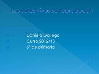    Daniela Gallego
   Curso 2012/13
   6º de primaria
 