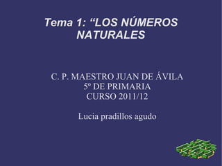 C. P. MAESTRO JUAN DE ÁVILA 5º DE PRIMARIA CURSO 2011/12 Lucia pradillos agudo Tema 1: “LOS NÚMEROS NATURALES 