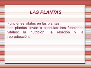 LAS PLANTAS Funciones vitales en las plantas. Las plantas llevan a cabo las tres funciones vitales: la nutrición, la relación y la reproducción. 