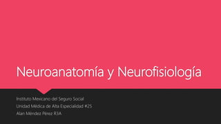 Neuroanatomía y Neurofisiología
Instituto Mexicano del Seguro Social
Unidad Médica de Alta Especialidad #25
Alan Méndez Pérez R3A
 