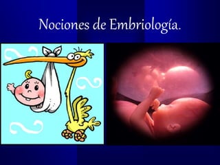 Nociones de Embriología.
 