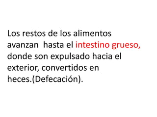 Los restos de los alimentos
avanzan hasta el intestino grueso,
donde son expulsado hacia el
exterior, convertidos en
heces.(Defecación).
 
