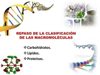 Carbohidratos.
Lípidos.
Proteinas.
REPASO DE LA CLASIFICACIÓN
DE LAS MACROMOLÉCULAS
 